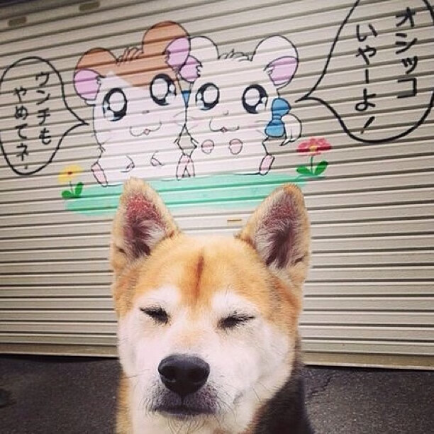京津冀足球产业协同发展专项行动稳步推进，打造区域足球生态圈