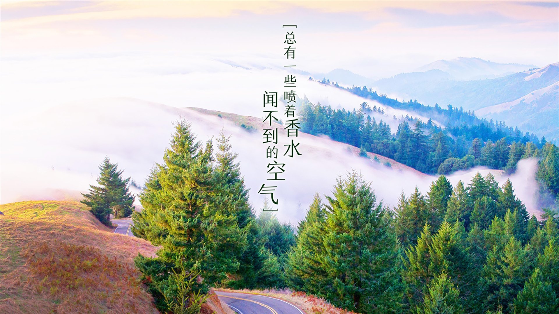 德甲焦点战：莱比锡点射绝杀柏林联合，积分榜前五争夺升级，德甲莱比锡2021年阵容