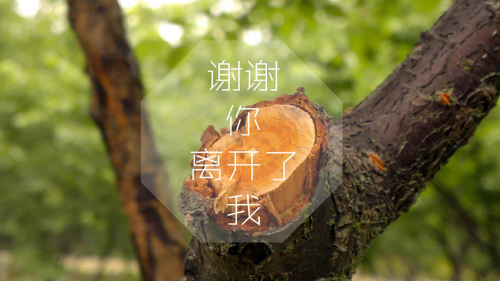 中超球队高压战术区域图谱整理，足球高压战术