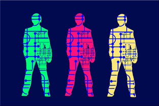 世俱杯网址-高校体育专业人才培养质量保障体系，体育人才培养方案心得体会