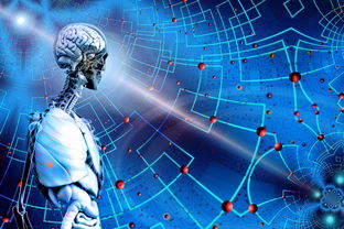 世俱杯2025赛程-高校运动训练科学管理模式创新，科学的运动训练管理系统应包含哪些方面